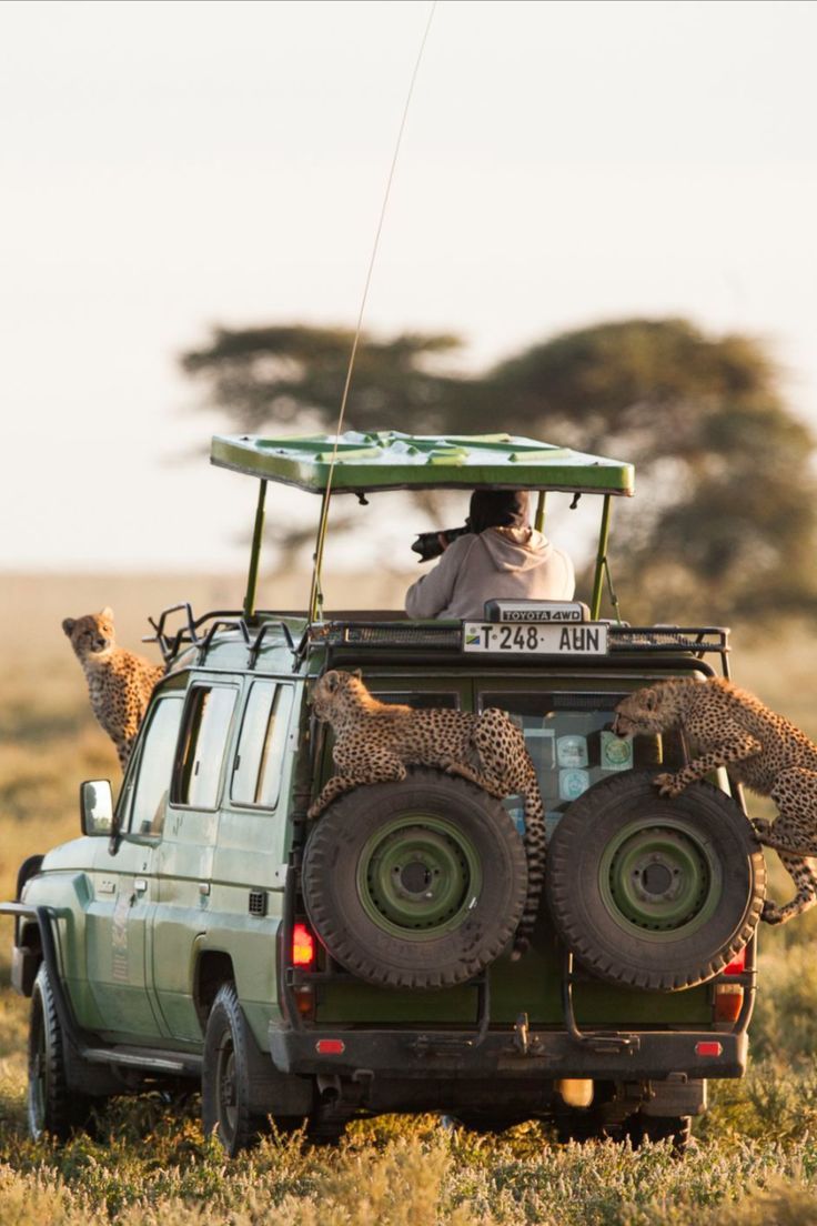 Conservation Safari